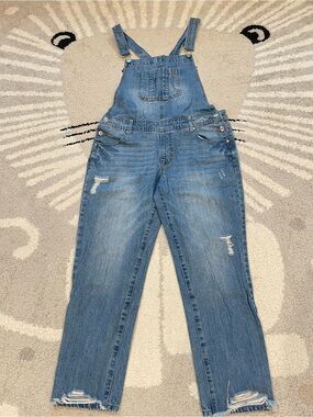 Denim Blue Women's Distressed Overalls